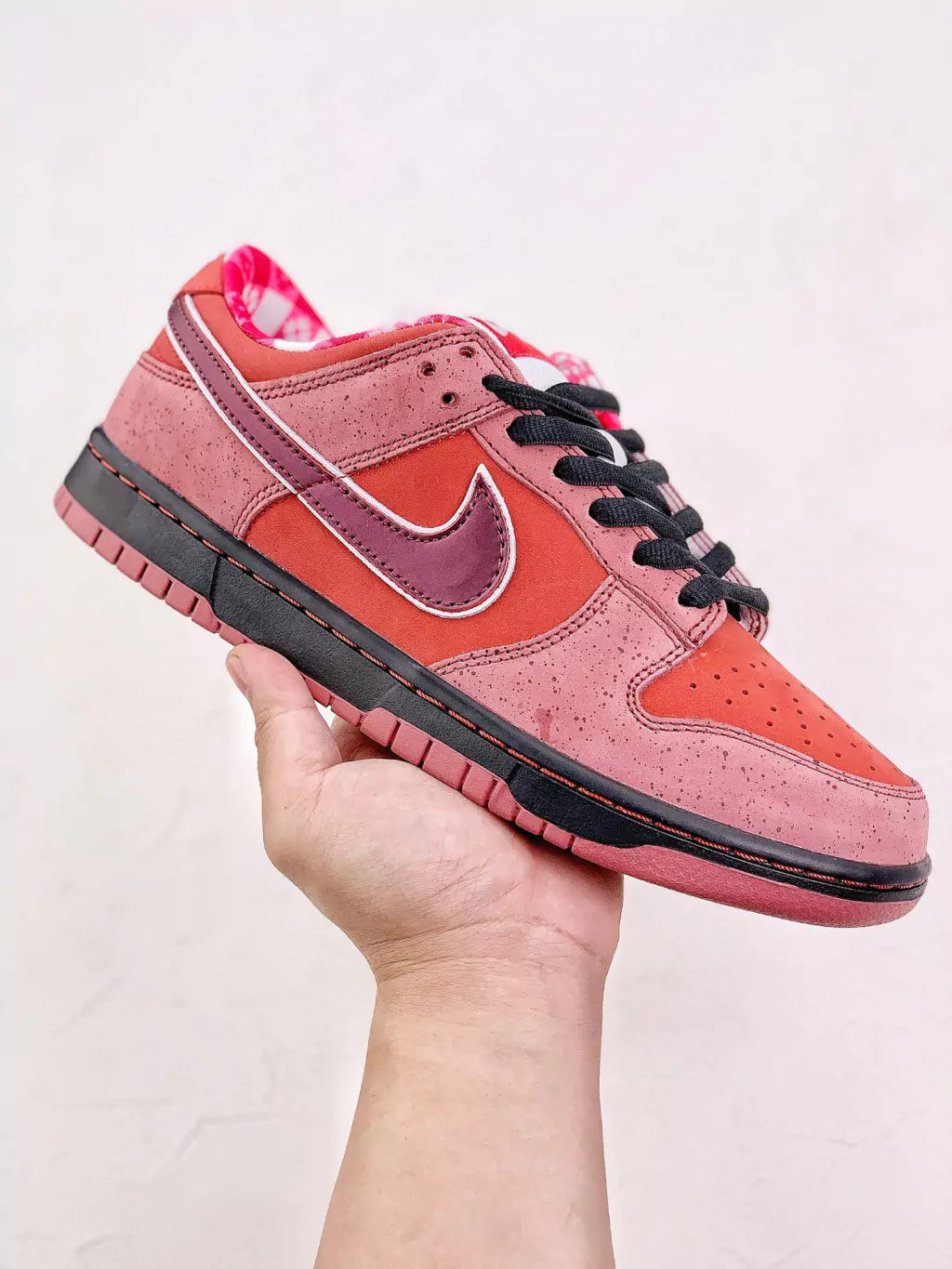 Concepts x Nike Dunk Low Pro SB