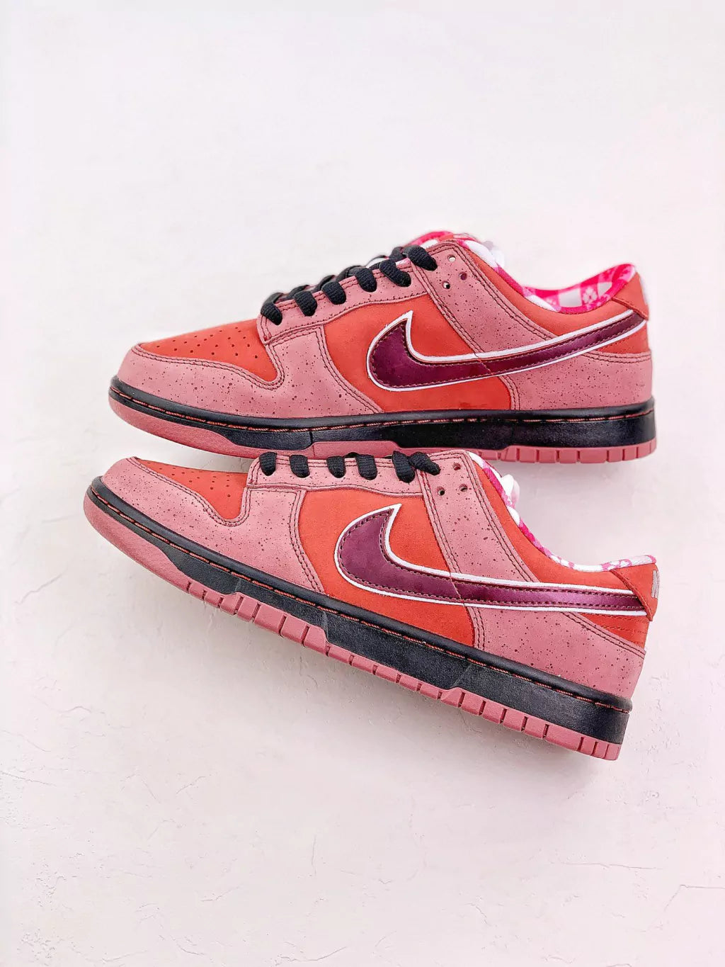 Concepts x Nike Dunk Low Pro SB